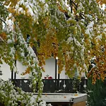 Alpenblick Apartment