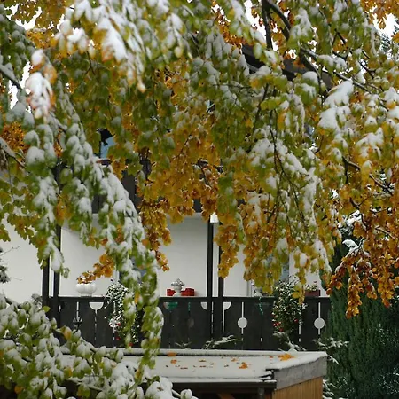 Alpenblick Lejlighed