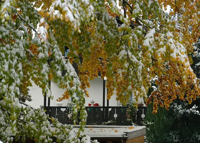 Alpenblick Apartment